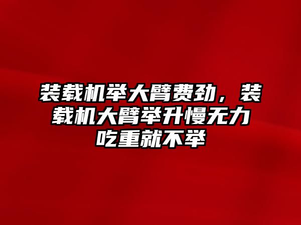 裝載機(jī)舉大臂費(fèi)勁，裝載機(jī)大臂舉升慢無力吃重就不舉