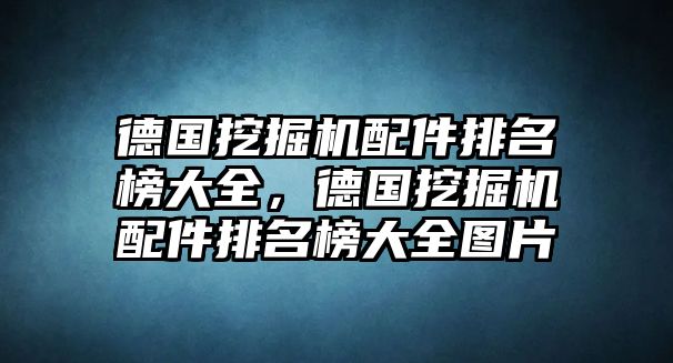 德國挖掘機配件排名榜大全，德國挖掘機配件排名榜大全圖片