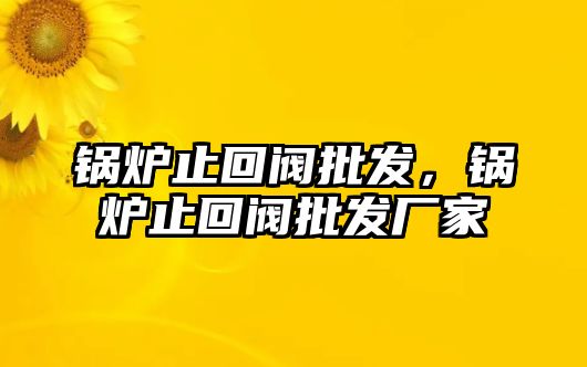 鍋爐止回閥批發(fā)，鍋爐止回閥批發(fā)廠家