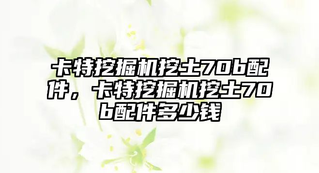 卡特挖掘機(jī)挖土70b配件，卡特挖掘機(jī)挖土70b配件多少錢