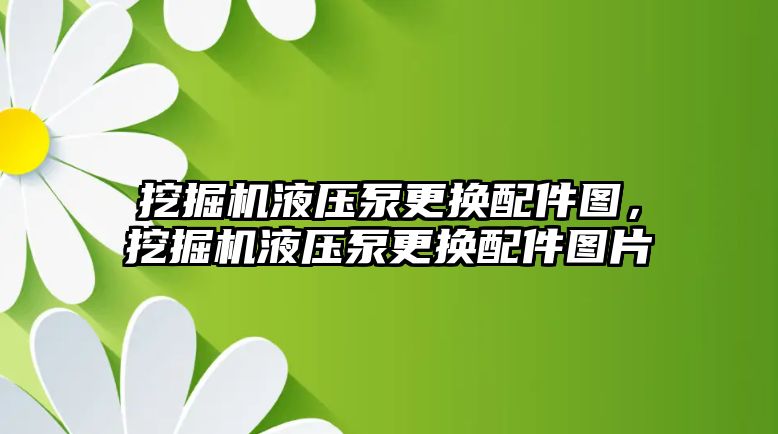 挖掘機液壓泵更換配件圖，挖掘機液壓泵更換配件圖片