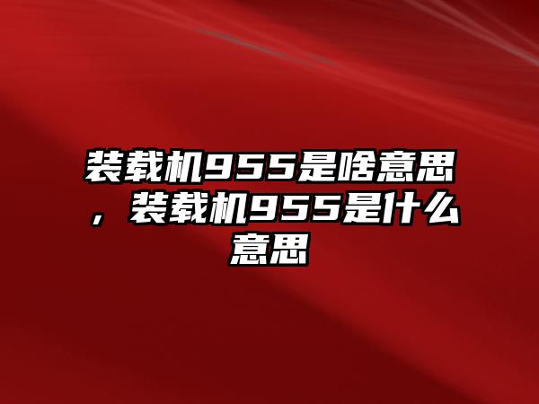 裝載機(jī)955是啥意思，裝載機(jī)955是什么意思