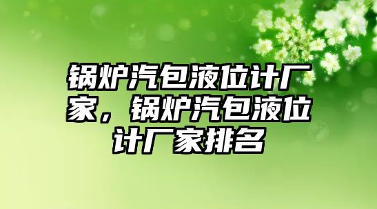 鍋爐汽包液位計廠家，鍋爐汽包液位計廠家排名