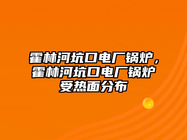 霍林河坑口電廠鍋爐，霍林河坑口電廠鍋爐受熱面分布