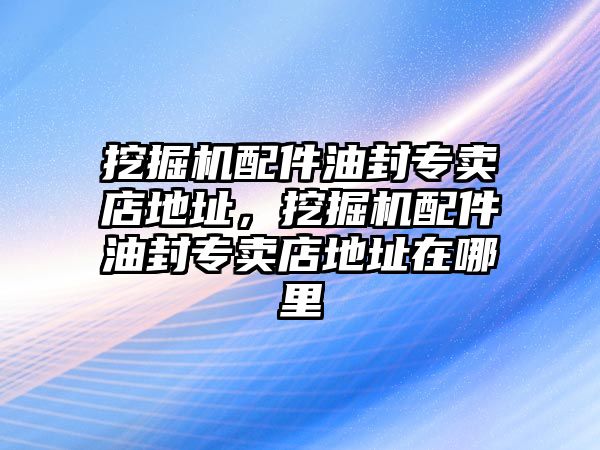 挖掘機(jī)配件油封專賣店地址，挖掘機(jī)配件油封專賣店地址在哪里