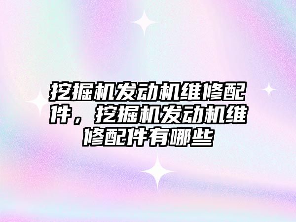 挖掘機發(fā)動機維修配件，挖掘機發(fā)動機維修配件有哪些