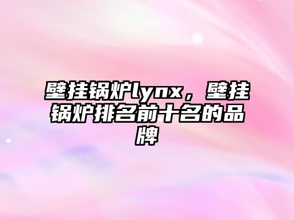 壁掛鍋爐lynx，壁掛鍋爐排名前十名的品牌