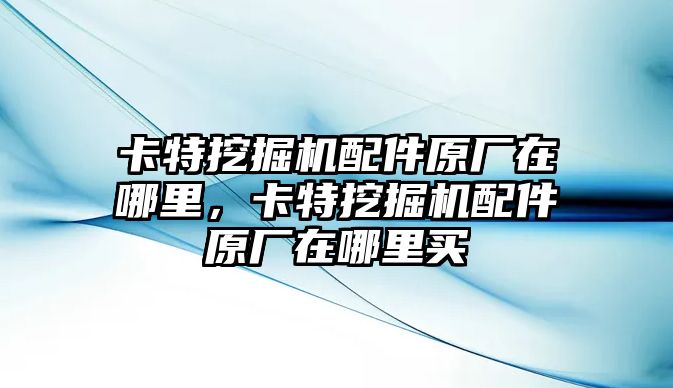 卡特挖掘機(jī)配件原廠在哪里，卡特挖掘機(jī)配件原廠在哪里買