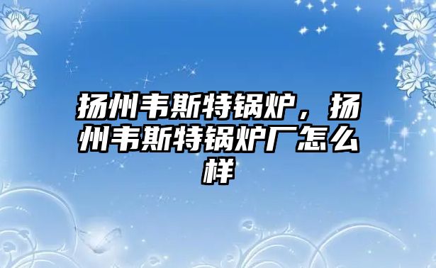 揚(yáng)州韋斯特鍋爐，揚(yáng)州韋斯特鍋爐廠怎么樣