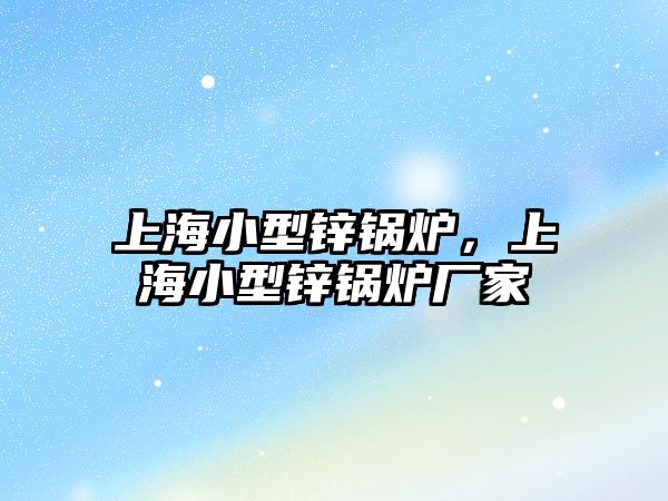 上海小型鋅鍋爐，上海小型鋅鍋爐廠家