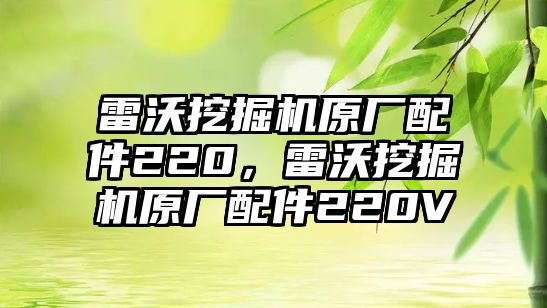 雷沃挖掘機原廠配件220，雷沃挖掘機原廠配件220V