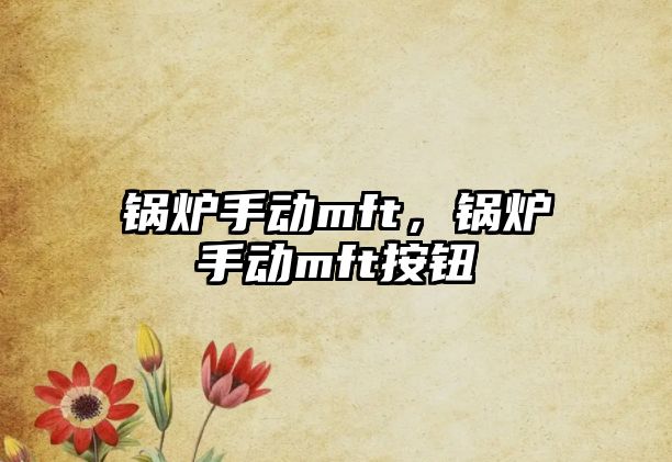 鍋爐手動(dòng)mft，鍋爐手動(dòng)mft按鈕