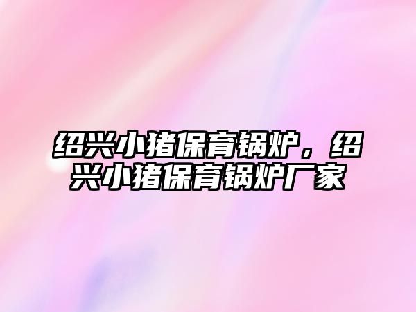 紹興小豬保育鍋爐，紹興小豬保育鍋爐廠家