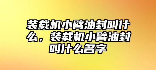 裝載機(jī)小臂油封叫什么，裝載機(jī)小臂油封叫什么名字