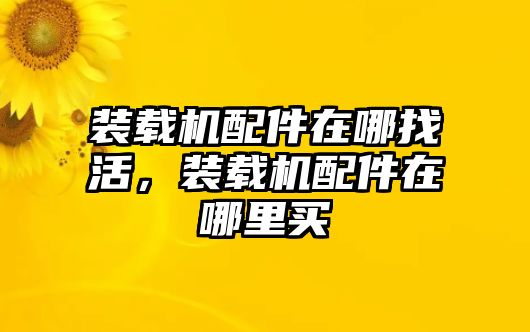 裝載機(jī)配件在哪找活，裝載機(jī)配件在哪里買(mǎi)