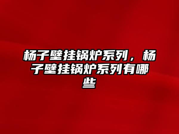 楊子壁掛鍋爐系列，楊子壁掛鍋爐系列有哪些