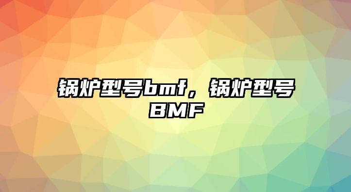 鍋爐型號bmf，鍋爐型號BMF