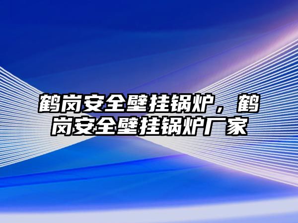 鶴崗安全壁掛鍋爐，鶴崗安全壁掛鍋爐廠家