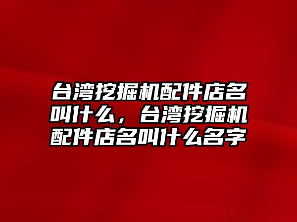 臺灣挖掘機配件店名叫什么，臺灣挖掘機配件店名叫什么名字