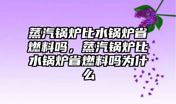 蒸汽鍋爐比水鍋爐省燃料嗎，蒸汽鍋爐比水鍋爐省燃料嗎為什么