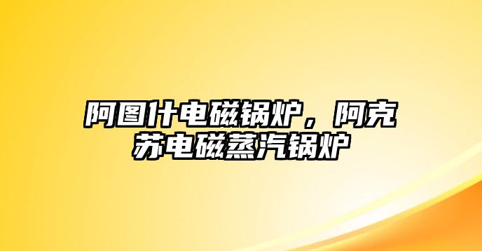 阿圖什電磁鍋爐，阿克蘇電磁蒸汽鍋爐