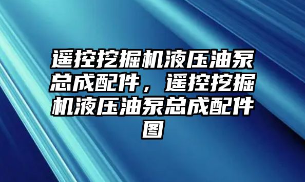 遙控挖掘機液壓油泵總成配件，遙控挖掘機液壓油泵總成配件圖