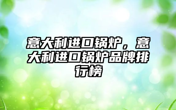 意大利進(jìn)口鍋爐，意大利進(jìn)口鍋爐品牌排行榜