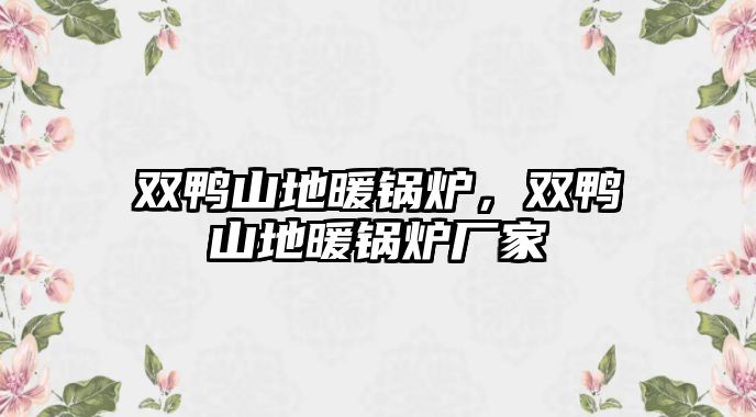 雙鴨山地暖鍋爐，雙鴨山地暖鍋爐廠家