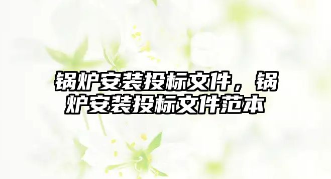 鍋爐安裝投標文件，鍋爐安裝投標文件范本