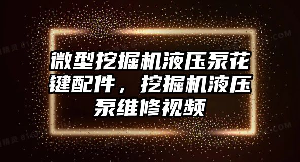 微型挖掘機液壓泵花鍵配件，挖掘機液壓泵維修視頻