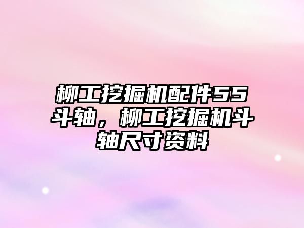 柳工挖掘機(jī)配件55斗軸，柳工挖掘機(jī)斗軸尺寸資料