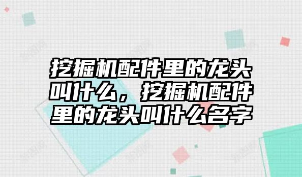 挖掘機配件里的龍頭叫什么，挖掘機配件里的龍頭叫什么名字