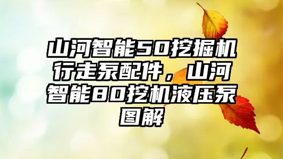 山河智能50挖掘機(jī)行走泵配件，山河智能80挖機(jī)液壓泵圖解