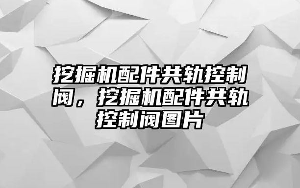 挖掘機(jī)配件共軌控制閥，挖掘機(jī)配件共軌控制閥圖片