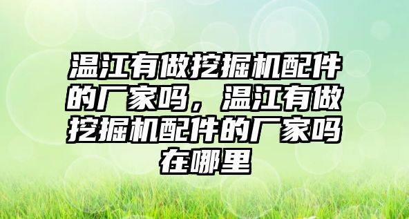 溫江有做挖掘機(jī)配件的廠家嗎，溫江有做挖掘機(jī)配件的廠家嗎在哪里