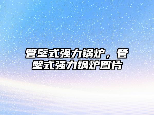 管壁式強(qiáng)力鍋爐，管壁式強(qiáng)力鍋爐圖片