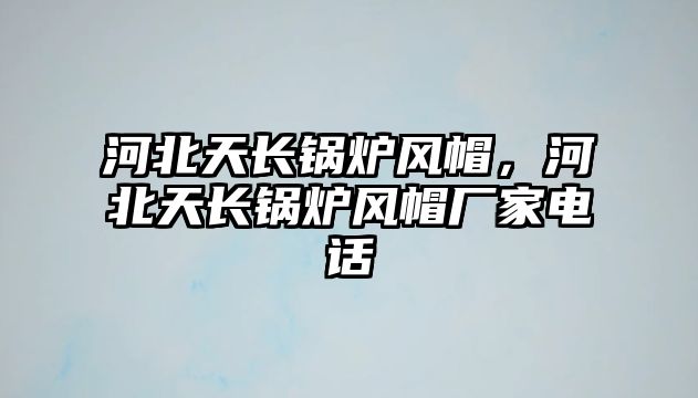 河北天長(zhǎng)鍋爐風(fēng)帽，河北天長(zhǎng)鍋爐風(fēng)帽廠家電話