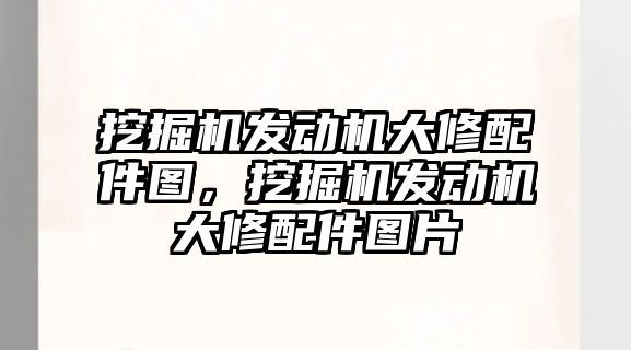 挖掘機發(fā)動機大修配件圖，挖掘機發(fā)動機大修配件圖片