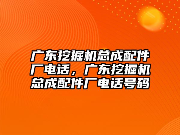 廣東挖掘機總成配件廠電話，廣東挖掘機總成配件廠電話號碼