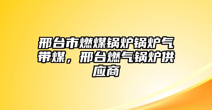 邢臺市燃煤鍋爐鍋爐氣帶煤，邢臺燃?xì)忮仩t供應(yīng)商