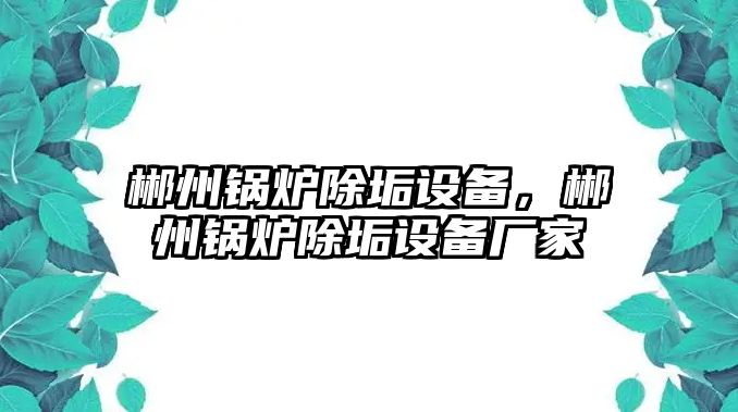 郴州鍋爐除垢設(shè)備，郴州鍋爐除垢設(shè)備廠家