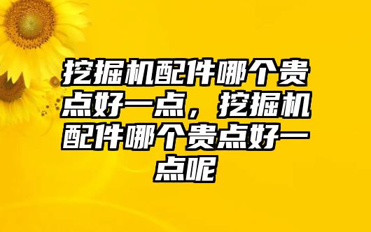 挖掘機(jī)配件哪個貴點(diǎn)好一點(diǎn)，挖掘機(jī)配件哪個貴點(diǎn)好一點(diǎn)呢