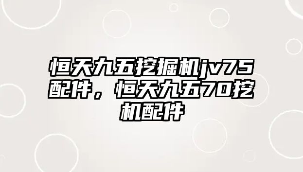 恒天九五挖掘機jv75配件，恒天九五70挖機配件