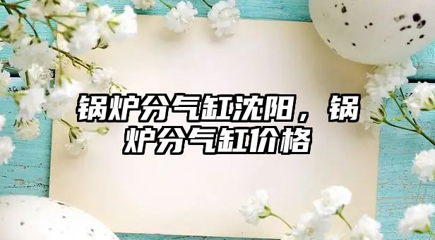 鍋爐分氣缸沈陽，鍋爐分氣缸價格