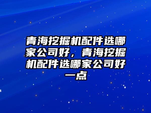 青海挖掘機(jī)配件選哪家公司好，青海挖掘機(jī)配件選哪家公司好一點(diǎn)