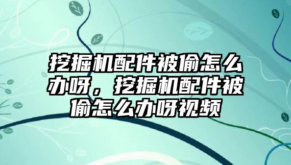 挖掘機(jī)配件被偷怎么辦呀，挖掘機(jī)配件被偷怎么辦呀視頻