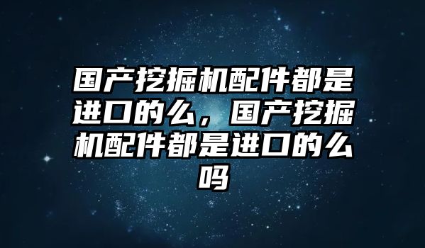 國產挖掘機配件都是進口的么，國產挖掘機配件都是進口的么嗎