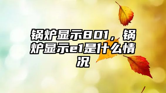 鍋爐顯示801，鍋爐顯示e1是什么情況