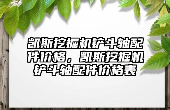 凱斯挖掘機鏟斗軸配件價格，凱斯挖掘機鏟斗軸配件價格表