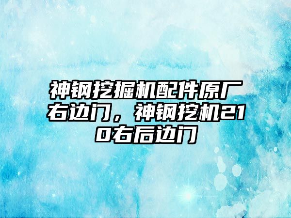 神鋼挖掘機(jī)配件原廠右邊門，神鋼挖機(jī)210右后邊門